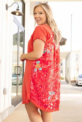 Baby Dress Coral.