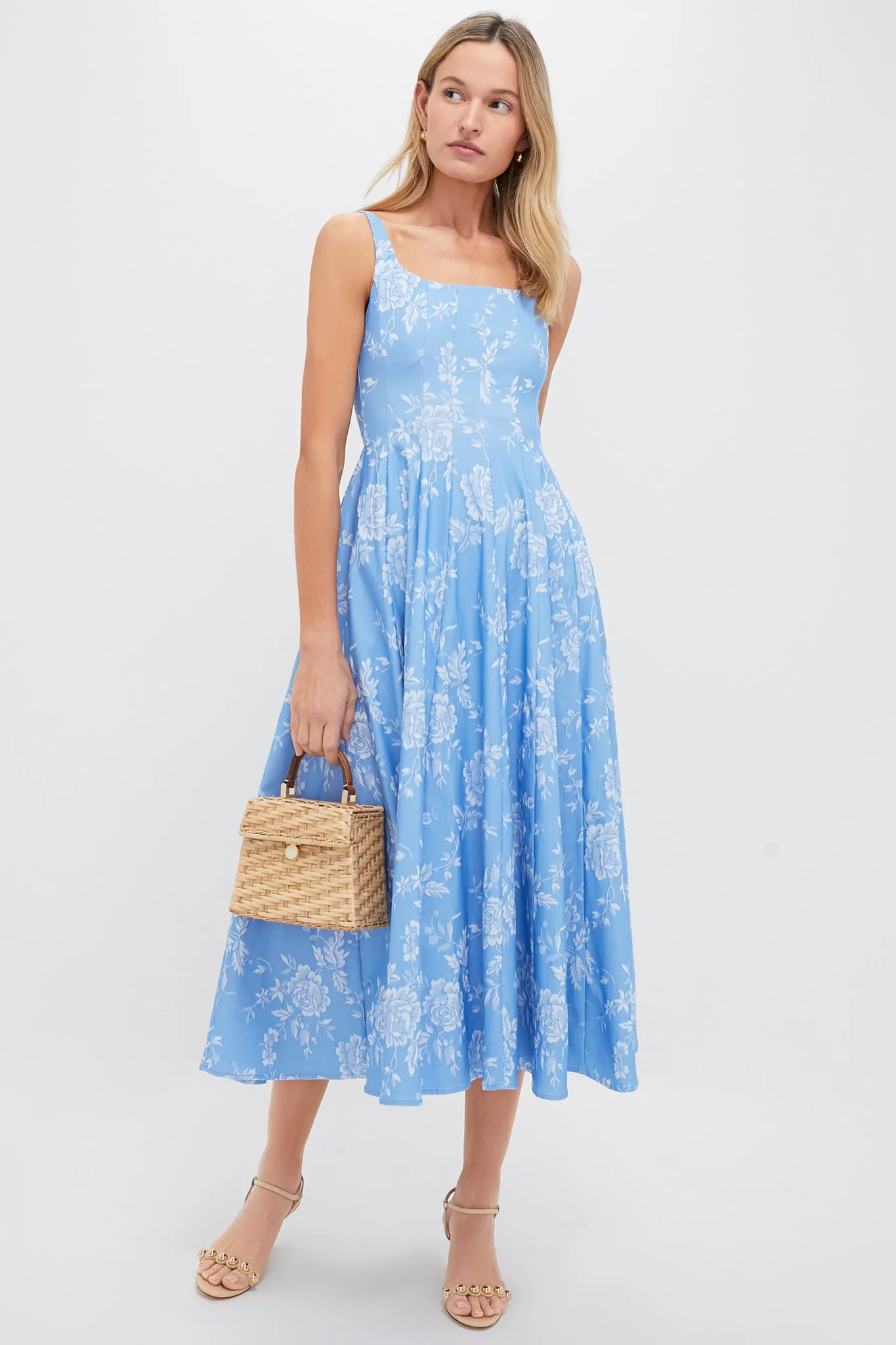 Blue Rose Wells Dress