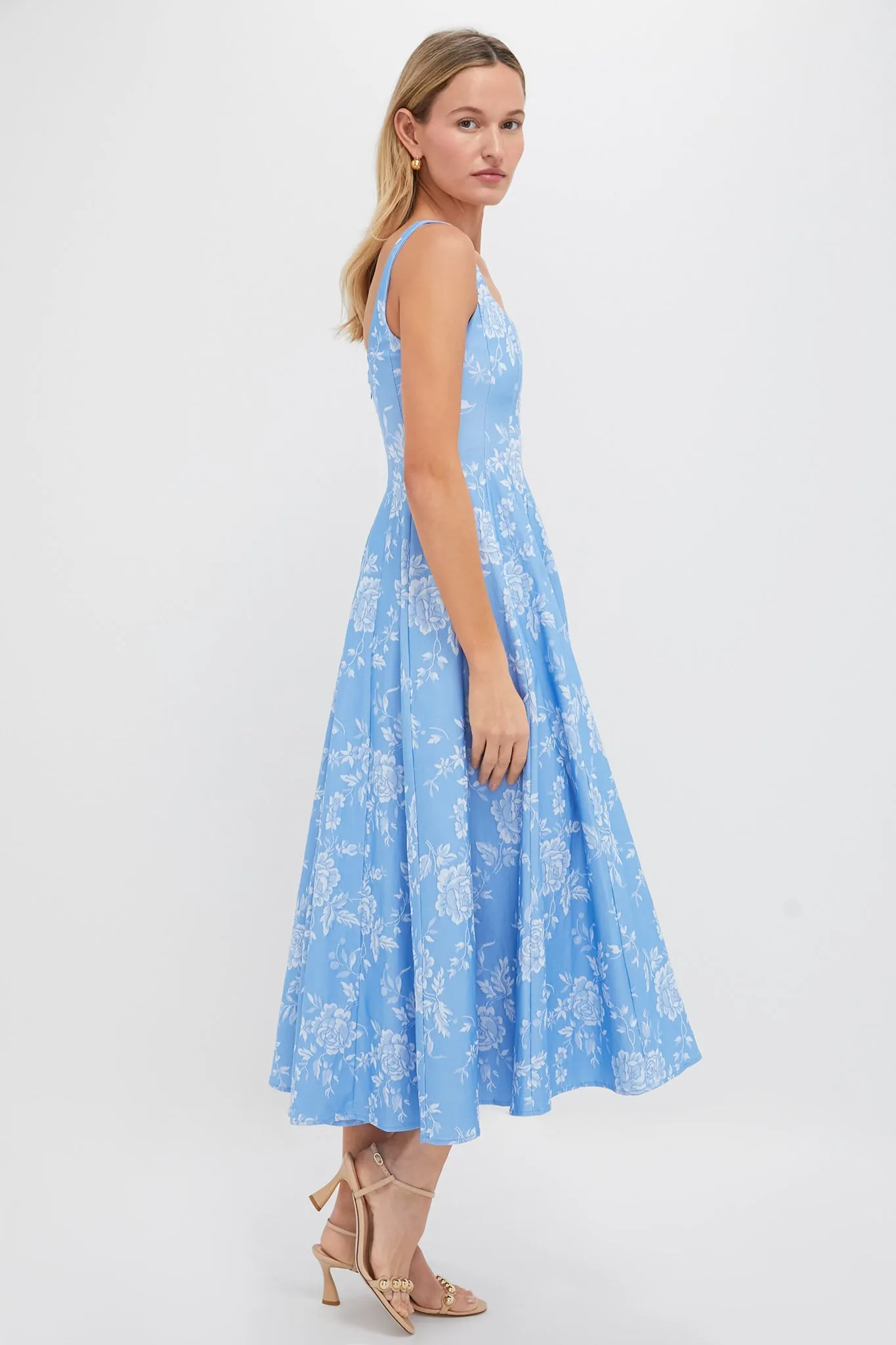 Blue Rose Wells Dress