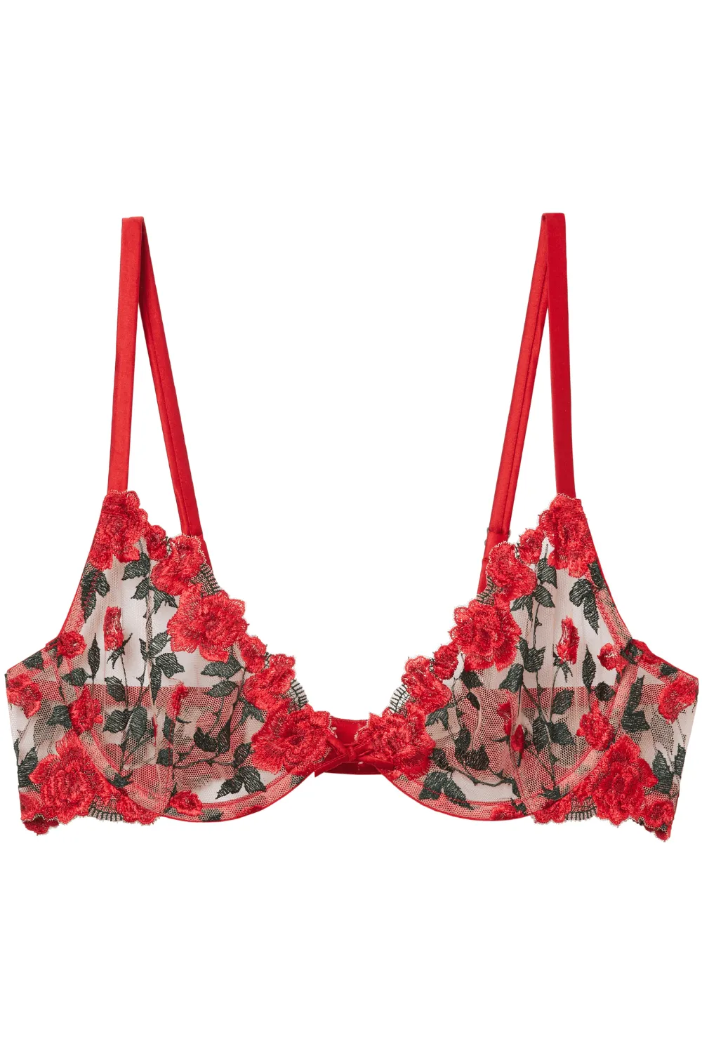 roses and thorns embroidery demi bra