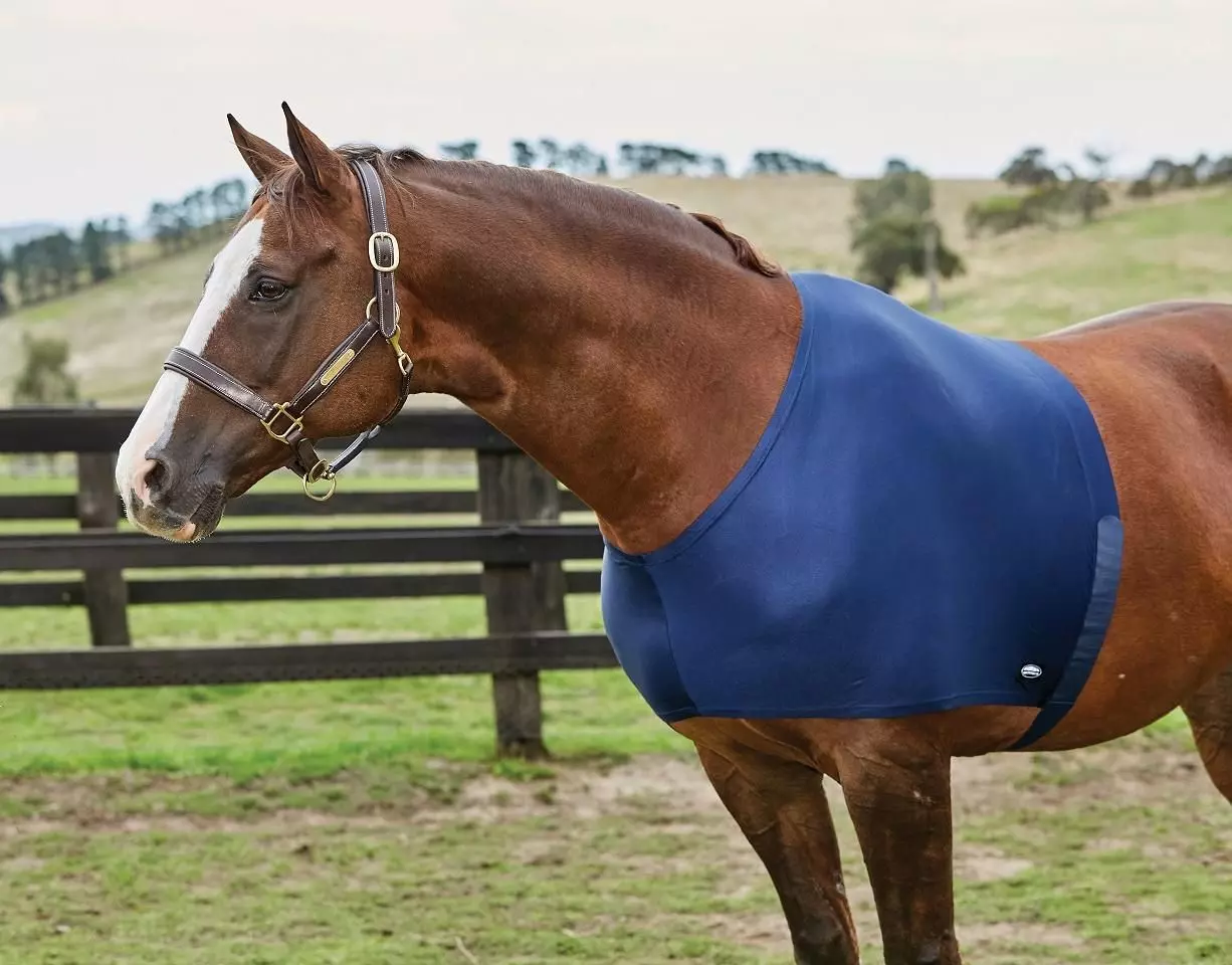 Weatherbeeta Stretch Shoulder Guard 