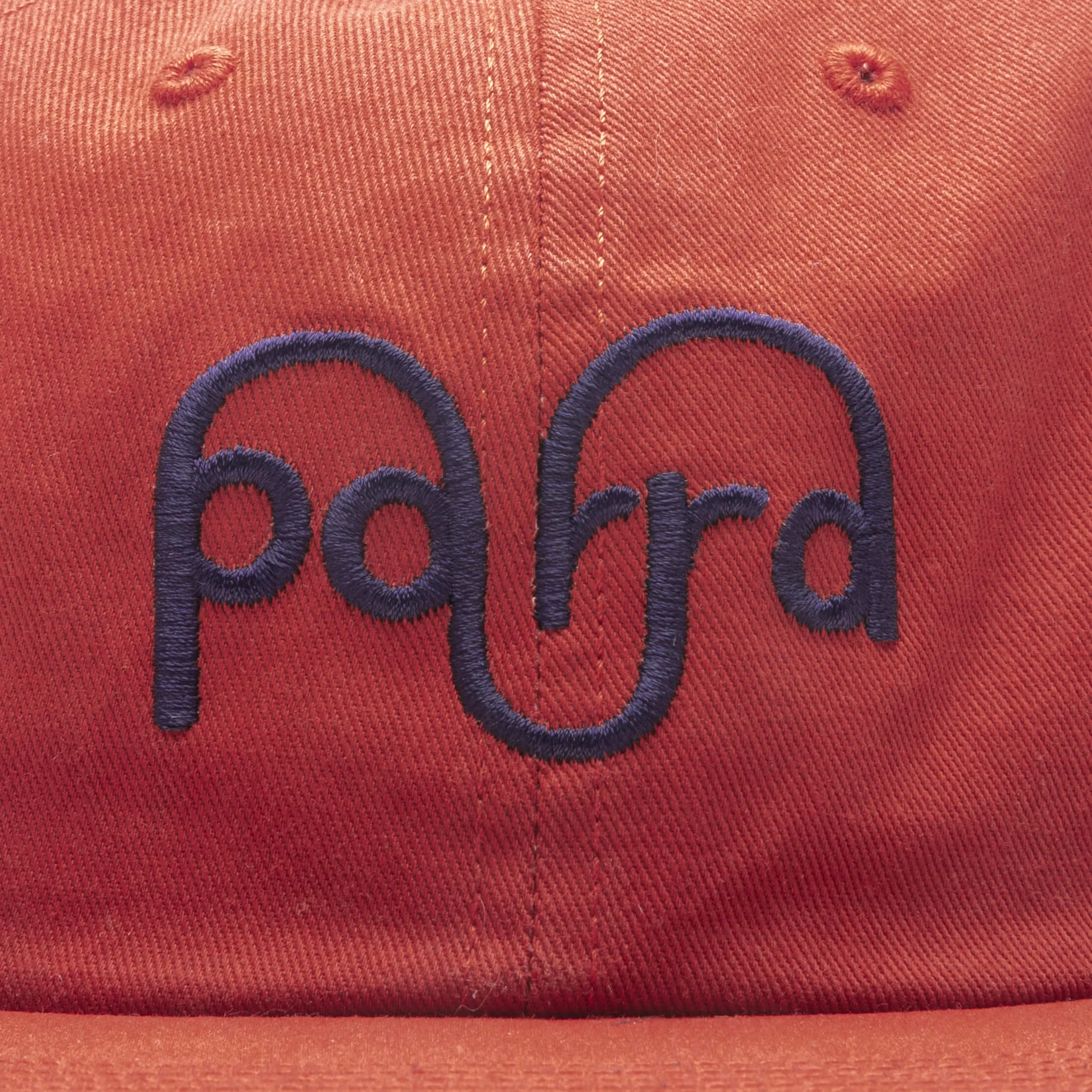 Cinnamon Weird Logo 6 Panel Hat