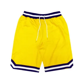 Yellow and Purple Men's Mesh Shorts - Size C6